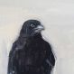 Snow Crow 1 2021 - by kaye Maahs for Kilbaha Gallery Buy irish Art Online