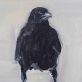 Snow Crow 1 2021 - by kaye Maahs for Kilbaha Gallery Buy irish Art Online