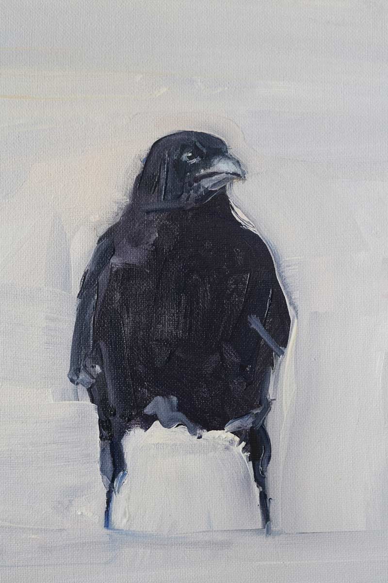 Snow Crow 1 2021 - by kaye Maahs for Kilbaha Gallery Buy irish Art Online