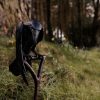 Raven by Adam Pomeroy for Kilbaha Gallery Buy Irish Art online kilbahagallery.com