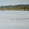 At the Waters Edge