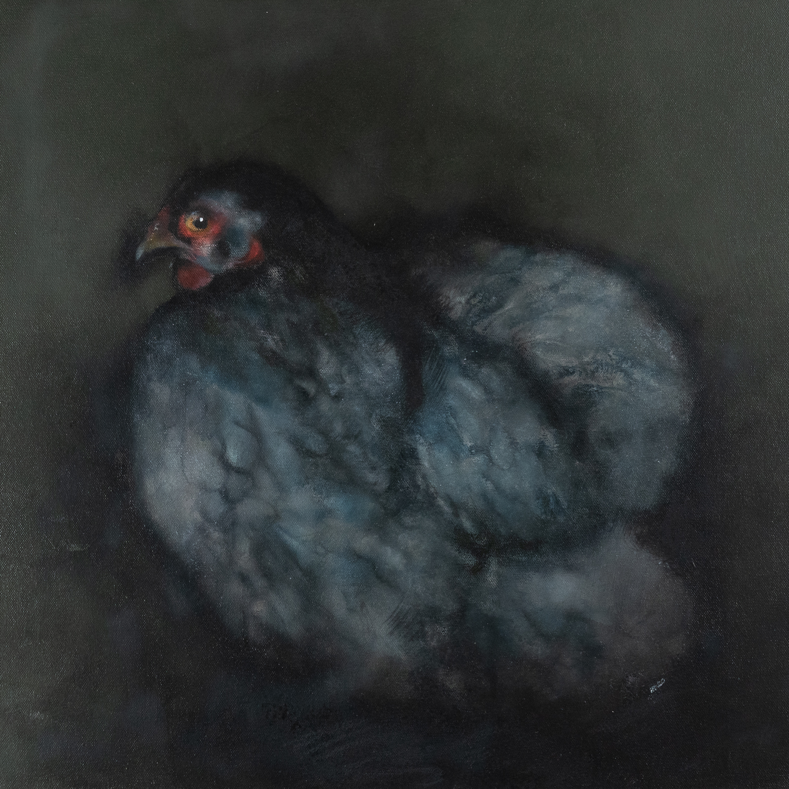 Heidi Wickham for KIlbaha Gallery Buy Irish Art Online