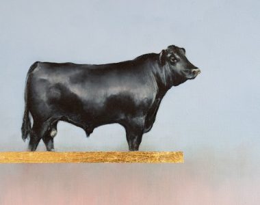 How to build an exciting art collection