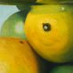 Diana Marshall Fine Art Oil Painting Lemons Jar Irish Gift