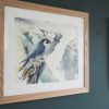 Peregrine Falcon watercolour painting by Phil Brennan Irish Art Gift Kilbaha Gallery Co Clare