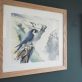 Peregrine Falcon watercolour painting by Phil Brennan Irish Art Gift Kilbaha Gallery Co Clare