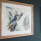 Peregrine Falcon watercolour painting by Phil Brennan Irish Art Gift Kilbaha Gallery Co Clare