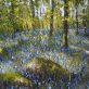 Mossy Boulders Mark Eldred Oil Painting for KIlbaha Gallery Forest Scene Blueblells Irish art gallery