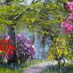 Azaleas, Rhododendron and bluebells oil painting by Mark Eldred for Kilbaha Gallery Irish Art