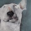 Heidi Wickham dog painting for Kilbaha Gallery animals Irish art gallery in Clare