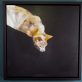 Heidi Wickham acyrlic on canvas Kilbaha Gallery irish art