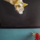Heidi Wickham acyrlic on canvas Kilbaha Gallery irish art