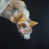 Heidi Wickham acyrlic on canvas Kilbaha Gallery irish art