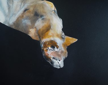 Heidi Wickham acyrlic on canvas Kilbaha Gallery irish art