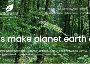 We’ve Partnered with the Cloudforests Initiative