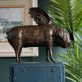 Krys Pomeroy Bronze Pig Kilbaha Gallery Irish Art Sculpture Gallery in Clare