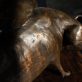 Krys Pomeroy Bronze Pig Kilbaha Gallery Irish Art Sculpture Gallery in Clare