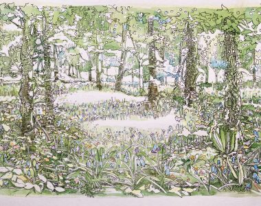 Irish Bluebells, Vandeleur Wood. Ruth Wood €395
