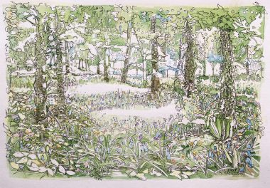 Irish Bluebells, Vandeleur Wood. Ruth Wood €395