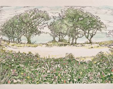 Moy Fairy Fort, Lahinch, Co. Clare . Ruth Wood €395