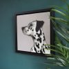 Heidi Wickham Dalmation Painting animal art Irish art acrylic original