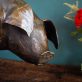 Krys Pomeroy Bronze Pig Kilbaha Gallery Irish Art Sculpture Gallery in Clare