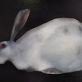 White Rabbit by Heidi Wickham for Kilbaha Gallery