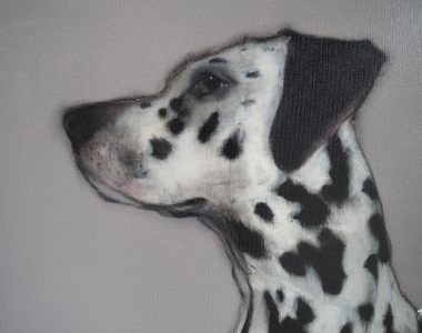 Heidi Wickham Dalmation Painting animal art Irish art acrylic original