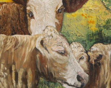Eadaoin Harding Kemp Burren Cows Oil on Board Irish art