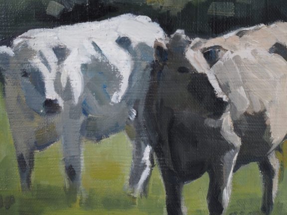 Oonagh O Toole Cows for Kilbaha Gallery