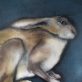 Small Hare by Heidi Wickham acrylic original animal paintings framed kilbaha gallery