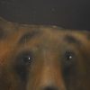 Little Bruin - Heidi Wickham - Kilbaha Gallery €485
