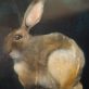 Small Hare €795 - Heidi Wickham acrylics animal paintings contemporary Irish art framed Kilbaha Gallery animals Hare