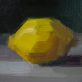 Bairbre Duggan Lemon Study Irish Art oil on canvas painting gallery in Clare Kilbaha Gallery