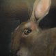 Small Hare €795 - Heidi Wickham acrylics animal paintings contemporary Irish art framed Kilbaha Gallery animals Hare