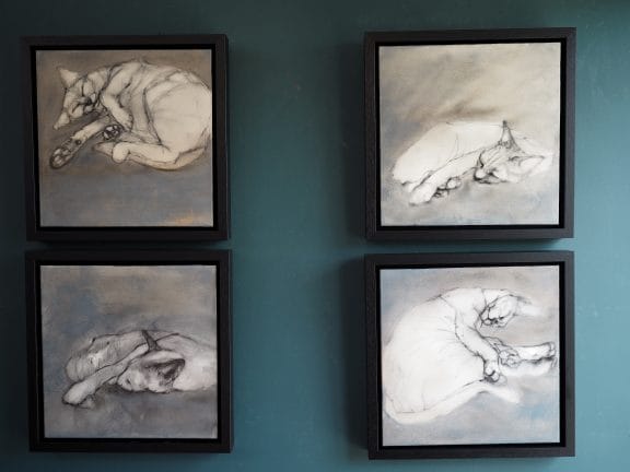 Heidi Wickham cat paintings original art Irish art animal paintings framed kilbaha gallery