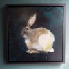 Small Hare €795 - Heidi Wickham acrylics animal paintings contemporary Irish art framed Kilbaha Gallery animals Hare