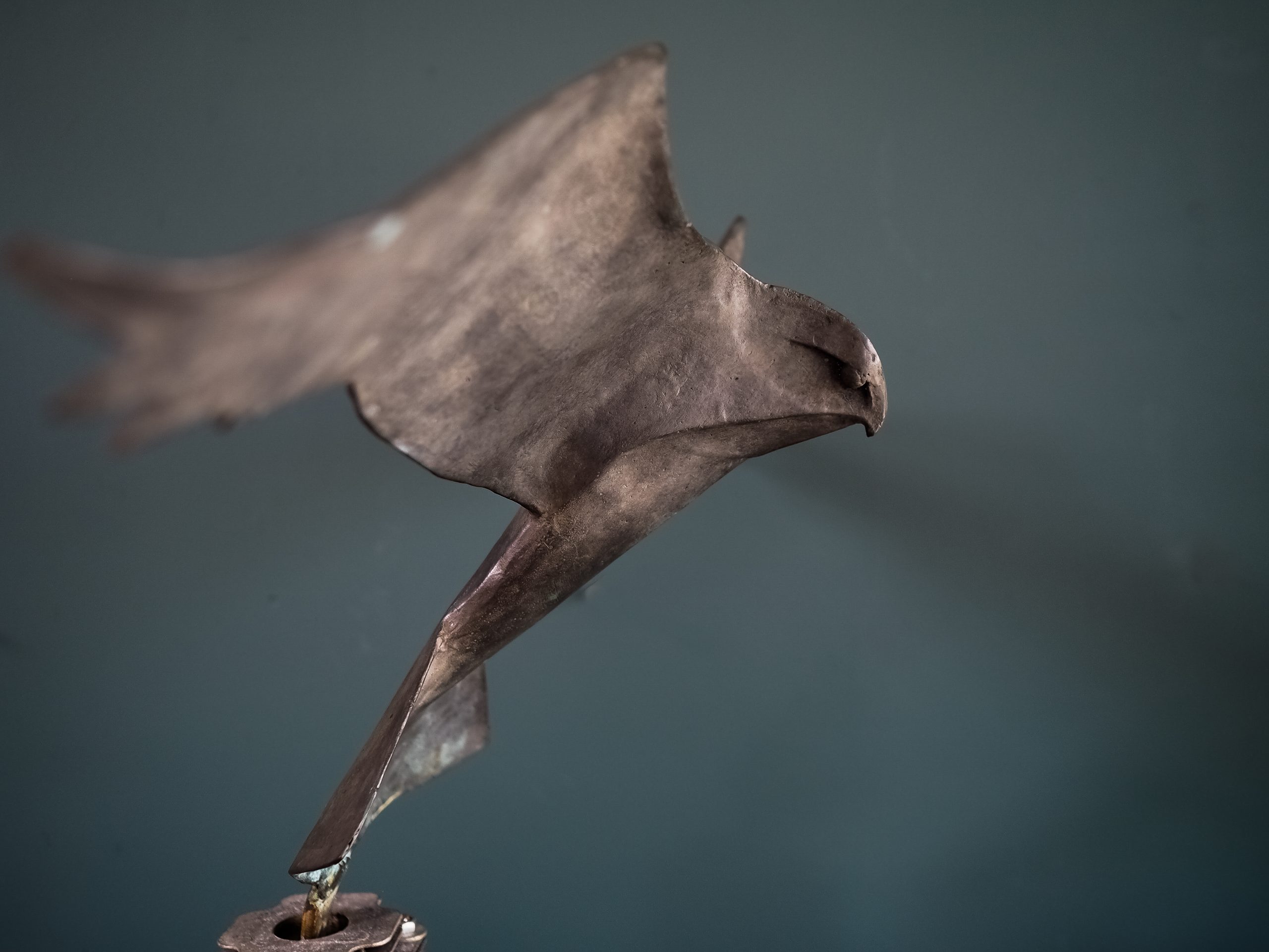 Kestrel in Bronze by Krys Pomeroy for Kilbaha Gallery Irish Art Sculpture Bird Bronze Kilbaha Gallery