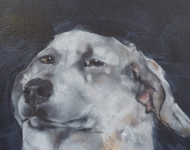 Simon Heidi Wickham animal dog painting acrylic Irish art Ireland Gallerys Interiors