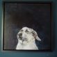 Simon Heidi Wickham animal dog painting acrylic Irish art Ireland Gallerys Interiors