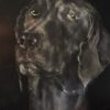 James the lab Heidi Wickham animal dog painting acrylic Irish art Ireland Gallerys Interiors