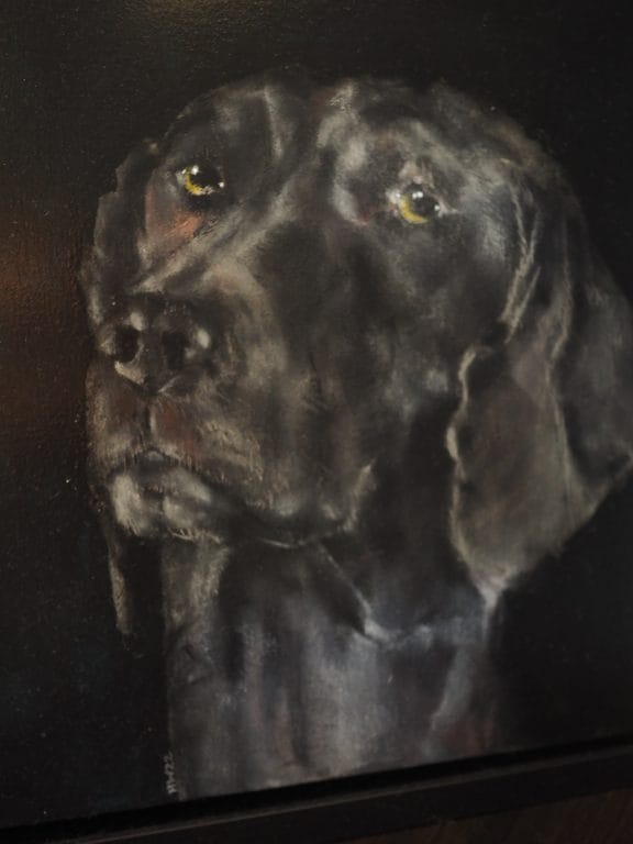 James the lab Heidi Wickham animal dog painting acrylic Irish art Ireland Gallerys Interiors
