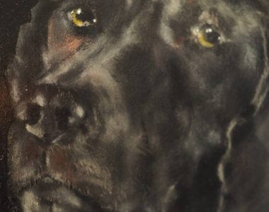 James the lab Heidi Wickham animal dog painting acrylic Irish art Ireland Gallerys Interiors