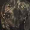 James the lab Heidi Wickham animal dog painting acrylic Irish art Ireland Gallerys Interiors