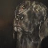 James the lab Heidi Wickham animal dog painting acrylic Irish art Ireland Gallerys Interiors