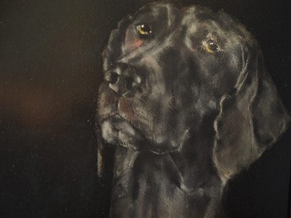 James the lab Heidi Wickham animal dog painting acrylic Irish art Ireland Gallerys Interiors