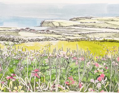 Ragged Robin, Cliff Walk, Kilkee, Co. Clare . Ruth Wood
