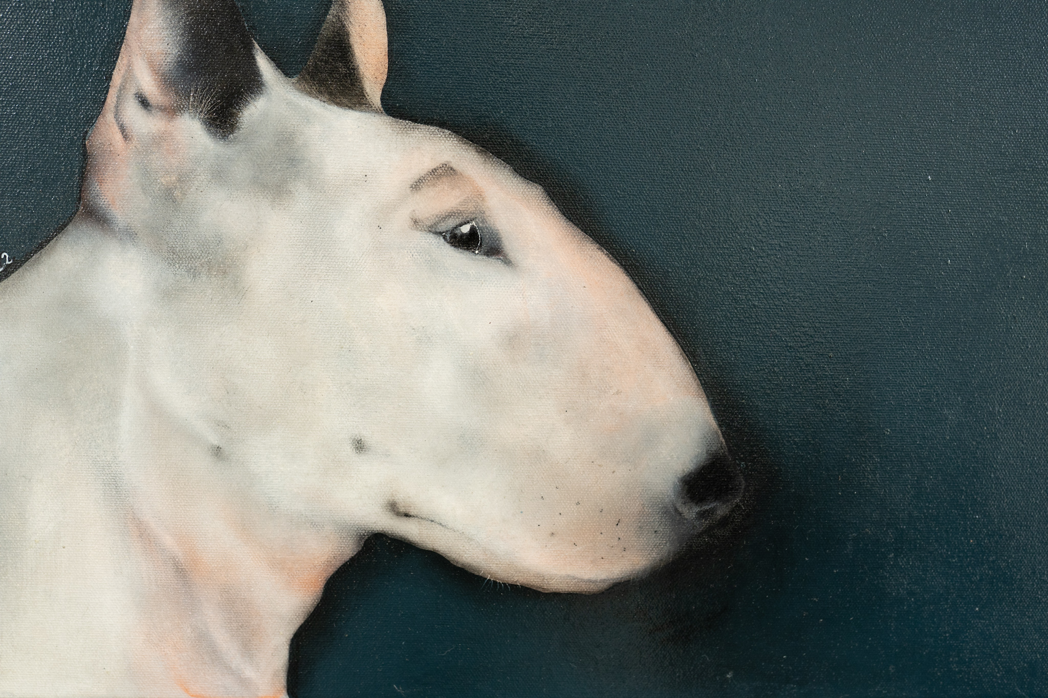 Heidi Wickham Bull terrier acrylics original painting dog animals Irish art canvas interior design Kilbaha Gallery