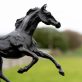 Siobhan Bulfin Bronze race horses sculpture equestrian equine interiors Irish bronze horse