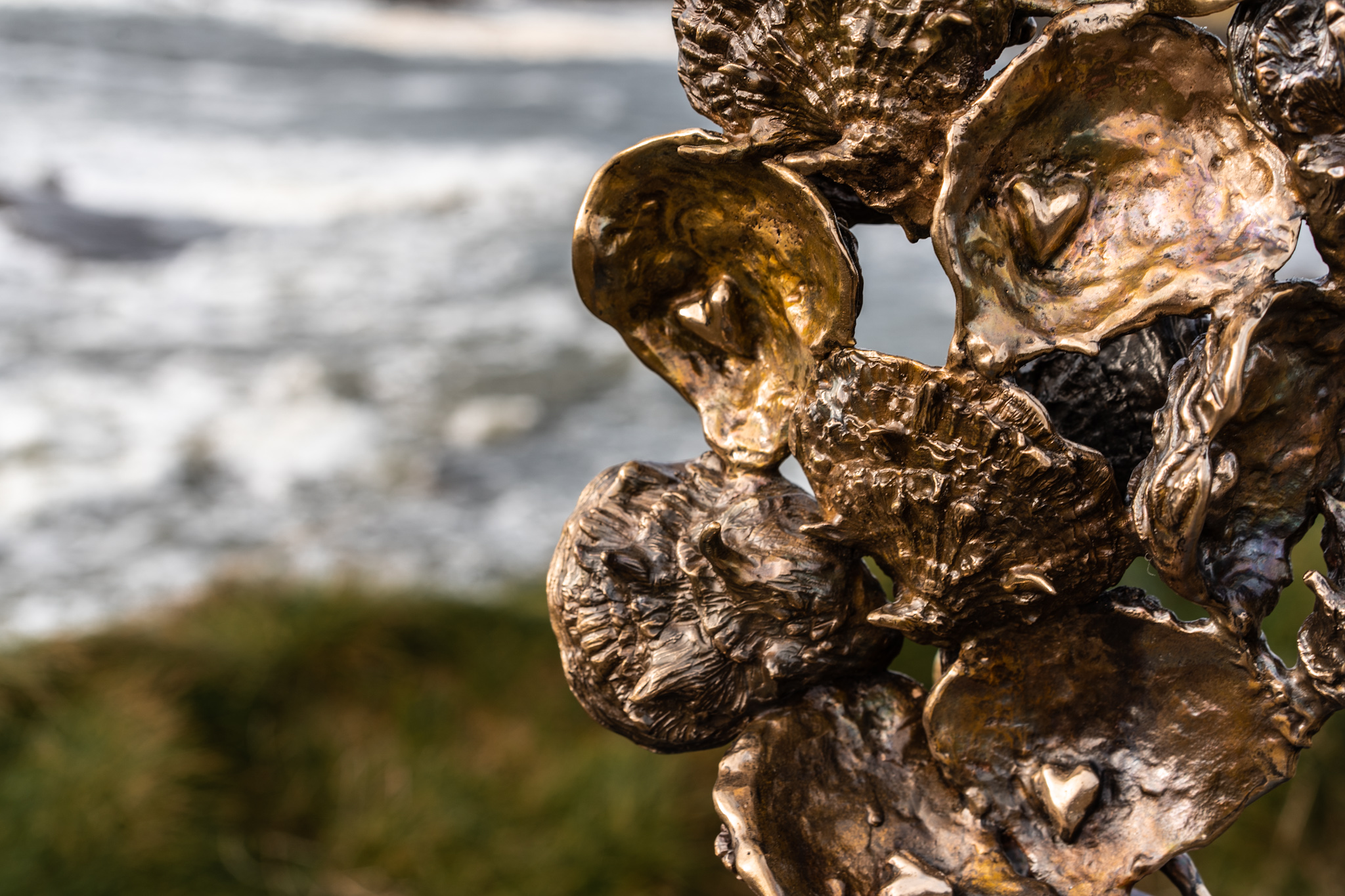 Oyster Shells Bronze by Arturas For Kilbaha Gallery Irish art, fine art, interiors, bronze sculpture, gift, Ireland, art online